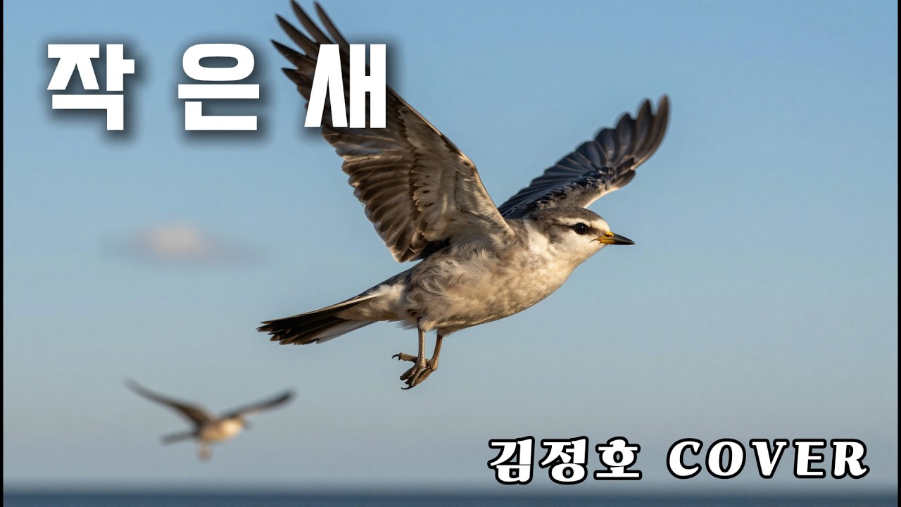 김정호 - 작은새 | 2026 AI Cover
