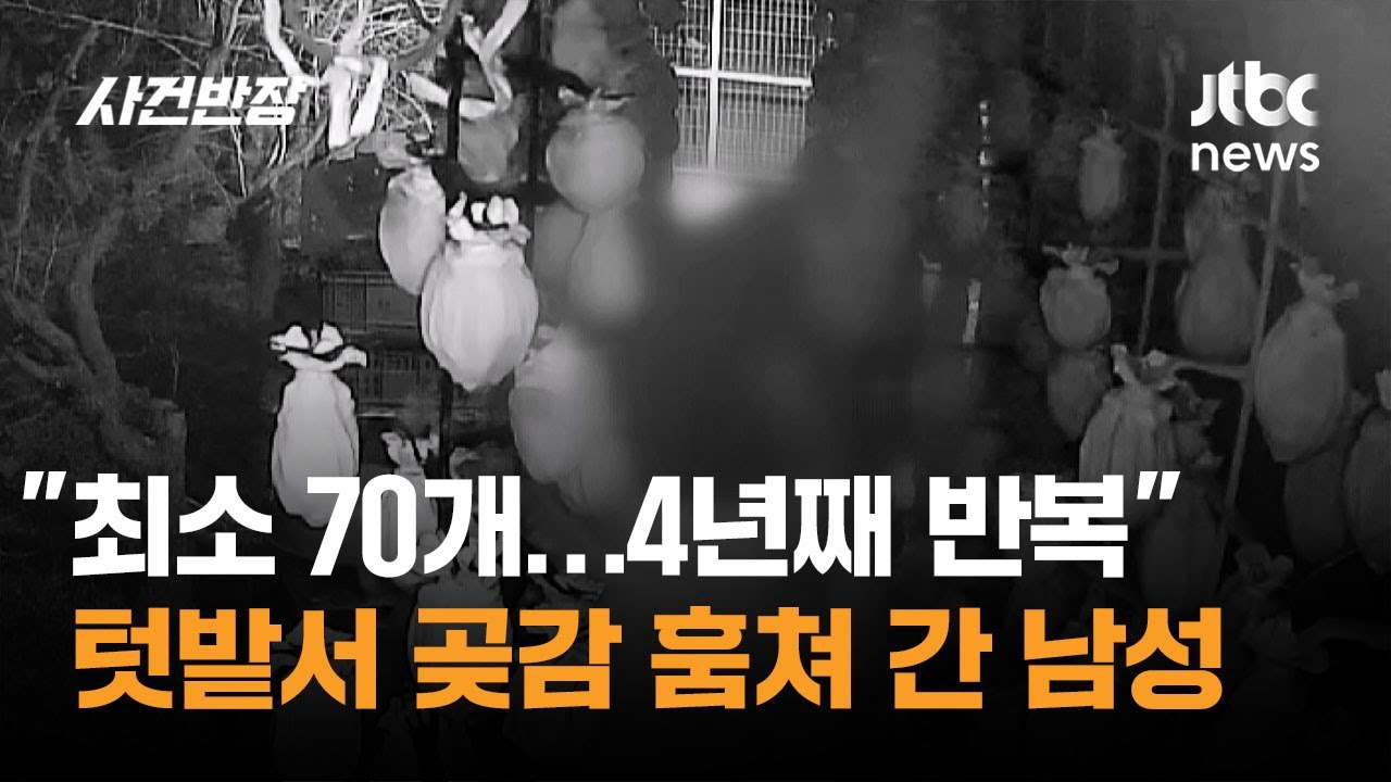 "최소 70개…4년째 반복" 텃밭서 곶감 훔쳐 간 남성 / JTBC 사건반장