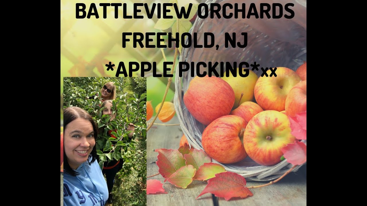 Battleview Orchards Apple Picking! Freehold NJ! SISTER DAY!