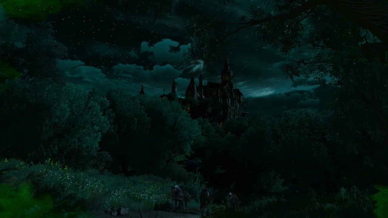 The Witcher 3 - Live Wallpaper #06 - 1080 60FPS