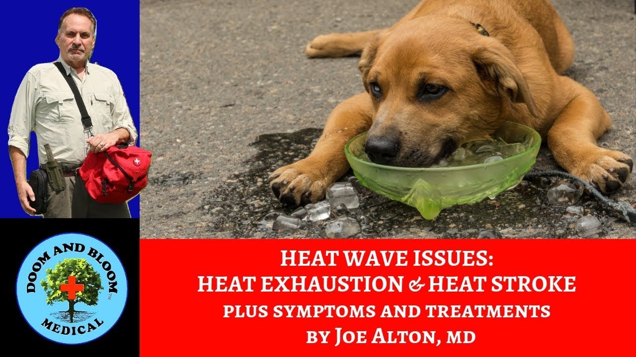 Sweating too much? Heat Exhaustion and Heat Stroke: Signs and Treatments