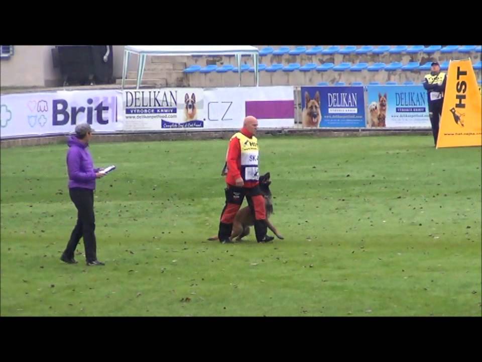 Viliam Koberčík & Pard de Alphaville Bohemia FCI 2013