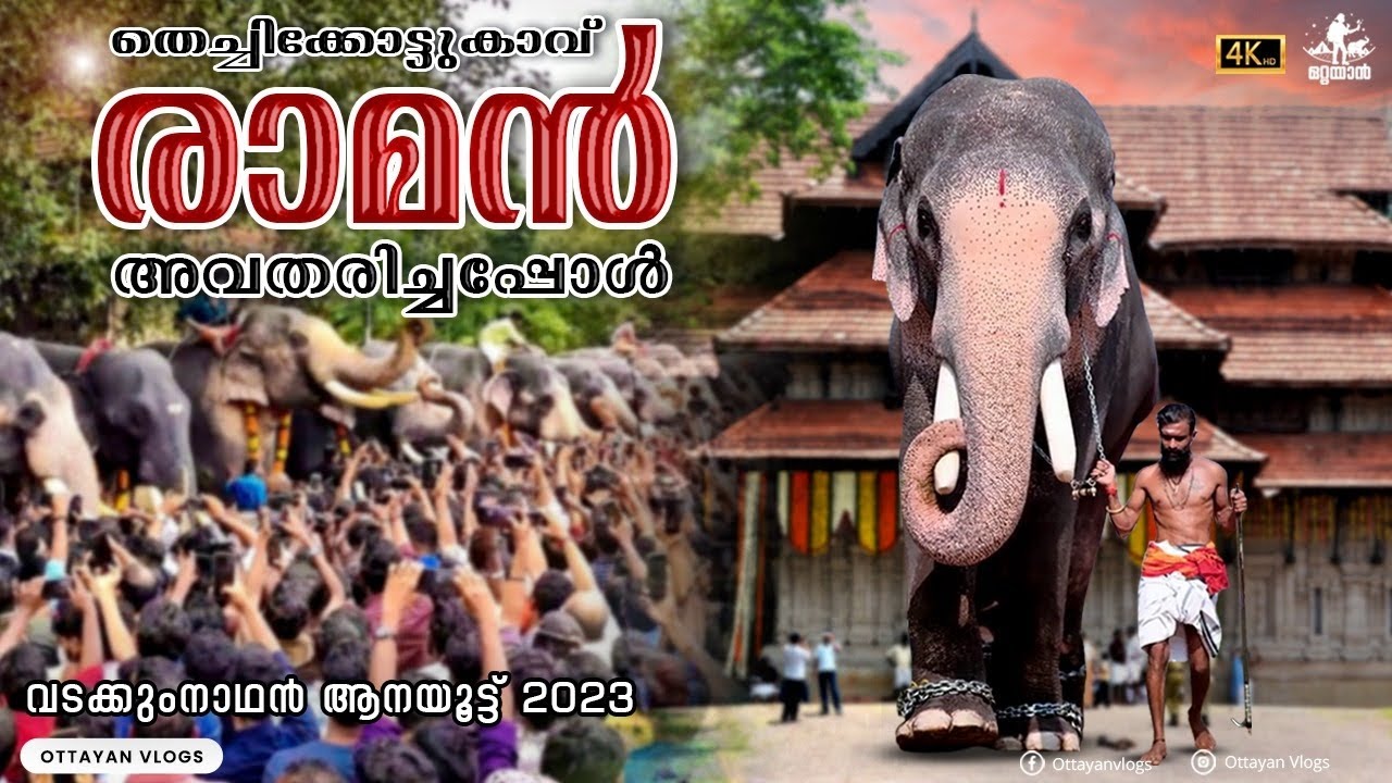 ഊട്ട് രാമൻ കൊണ്ടുപോയി I തെച്ചിക്കോട്ടുകാവ് രാമചന്ദ്രൻ  I വടക്കുംനാഥൻ  ആനയൂട്ട്  2023 #trending