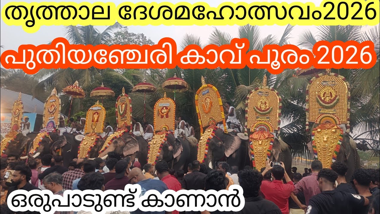 തൃത്താല /പുതിയഞ്ചേരി/പൂരം 2026|Eliphant ||Feast2026|Pooram ||Ulsavam|Aana||pooram| eliphantlove 