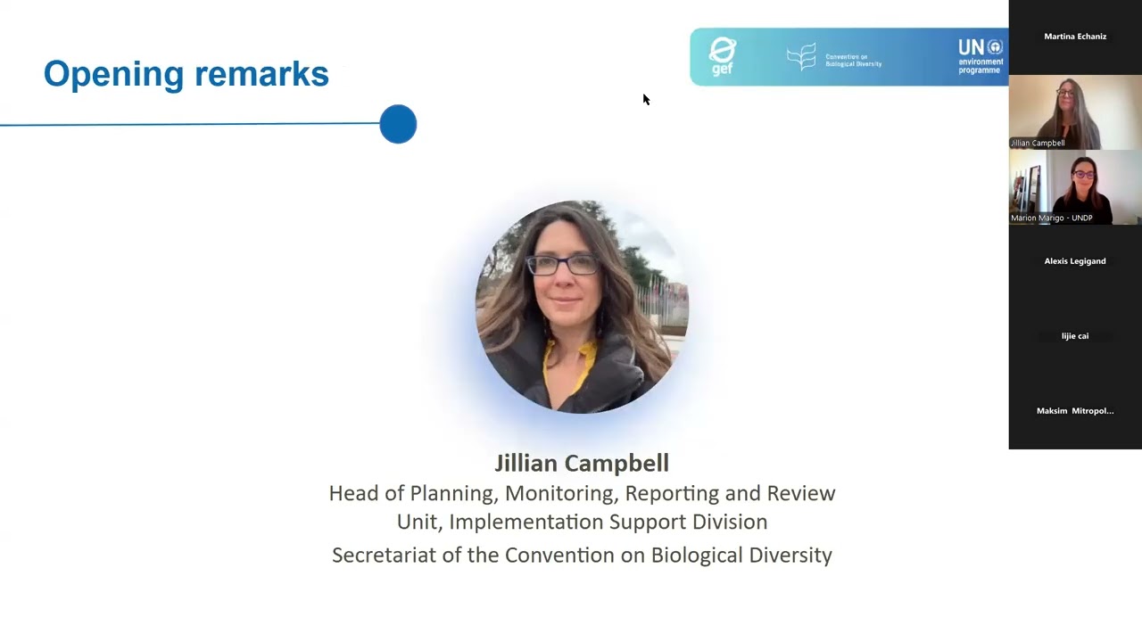 Webinar: formación sobre la herramienta de presentación de informes en línea para el 7NR