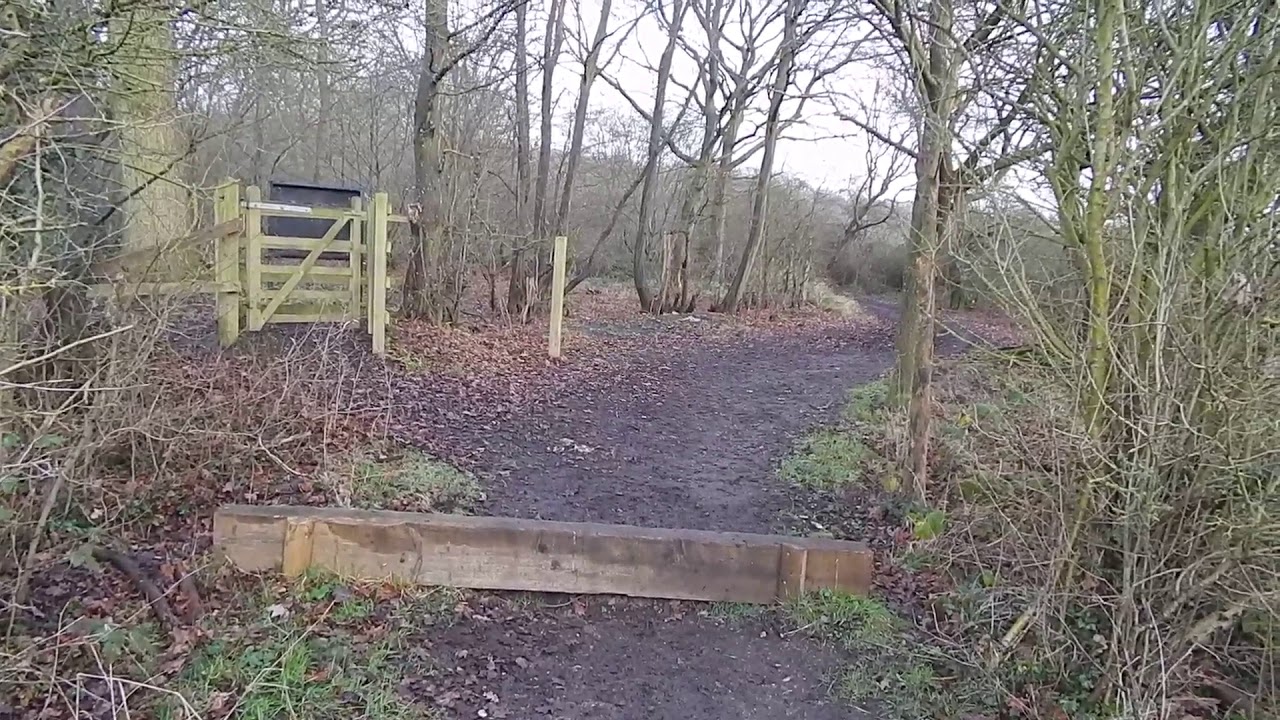 West Ruislip to Northwood Hills Walk Through Ruislip Woods 7 January 2020