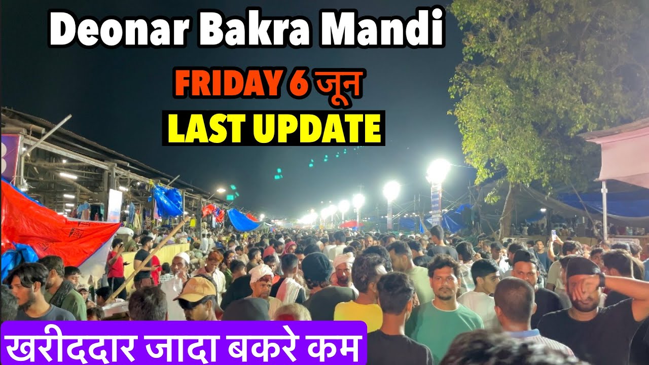 मंडी गरम नहीं बहुत गरम है 🤔 DEONAR BAKRA MANDI DAY 12 NIGHT FULL TOUR 6/6/2025