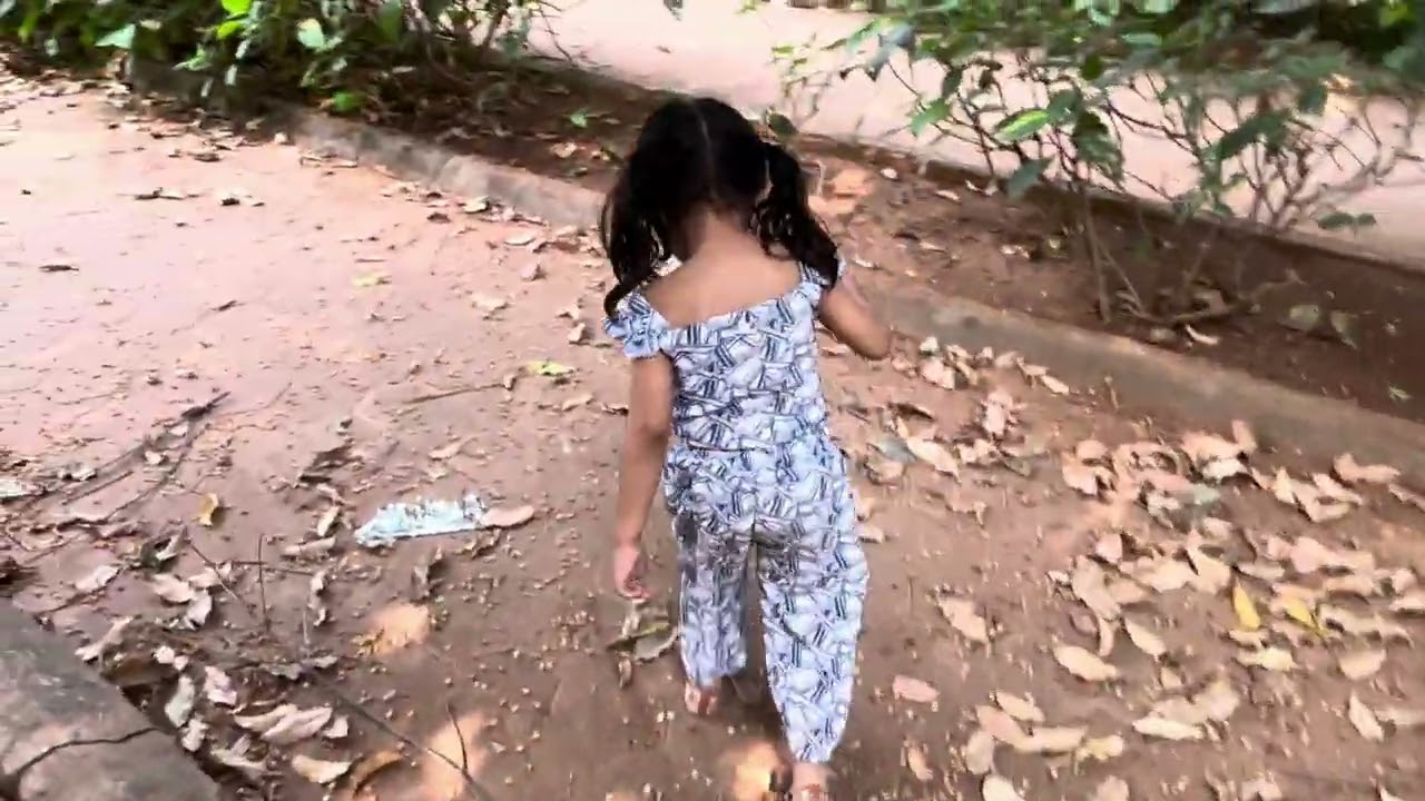 Today’s vlog puzzle garden . In the end we see a big animal 