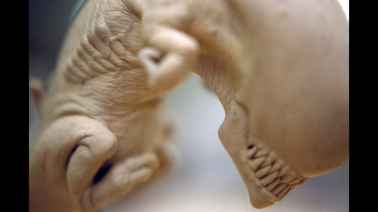 ALIEN 3 Sigourney Weaver Queen Chestburster Rig Test