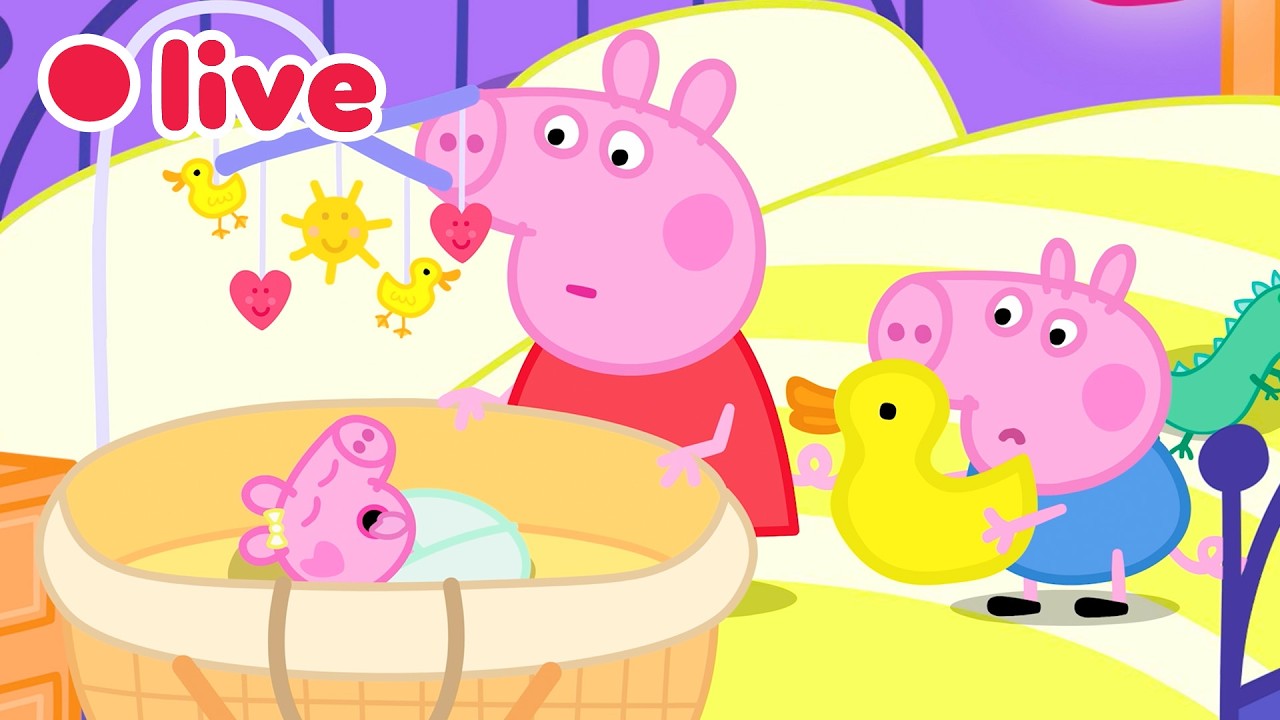 🔴 LIVE: Cutest Baby Evie Episode 🍼 Peppa Pig Best Big Sister Moments✨Kids Cartoons 🐷 FULL Episodes