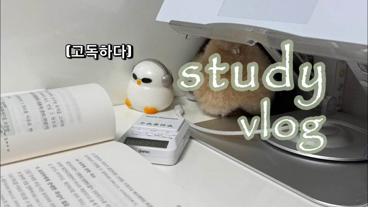 [ 수험생 브이로그 ] 일•공부 병행🥵 | 낮과 밤이 완전히 바뀌어버렸다.. | 찔끔찔끔 공부하기