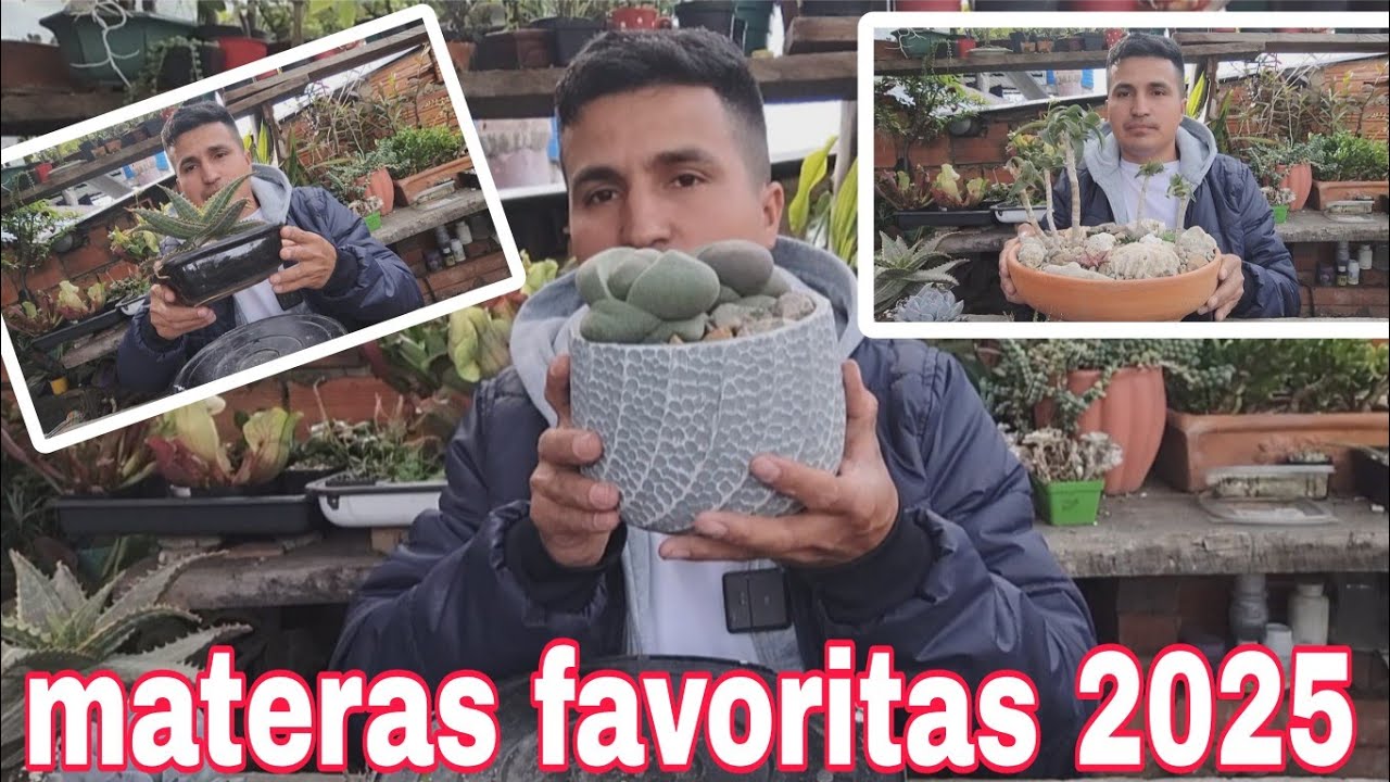 Reto materas favoritas del 2025