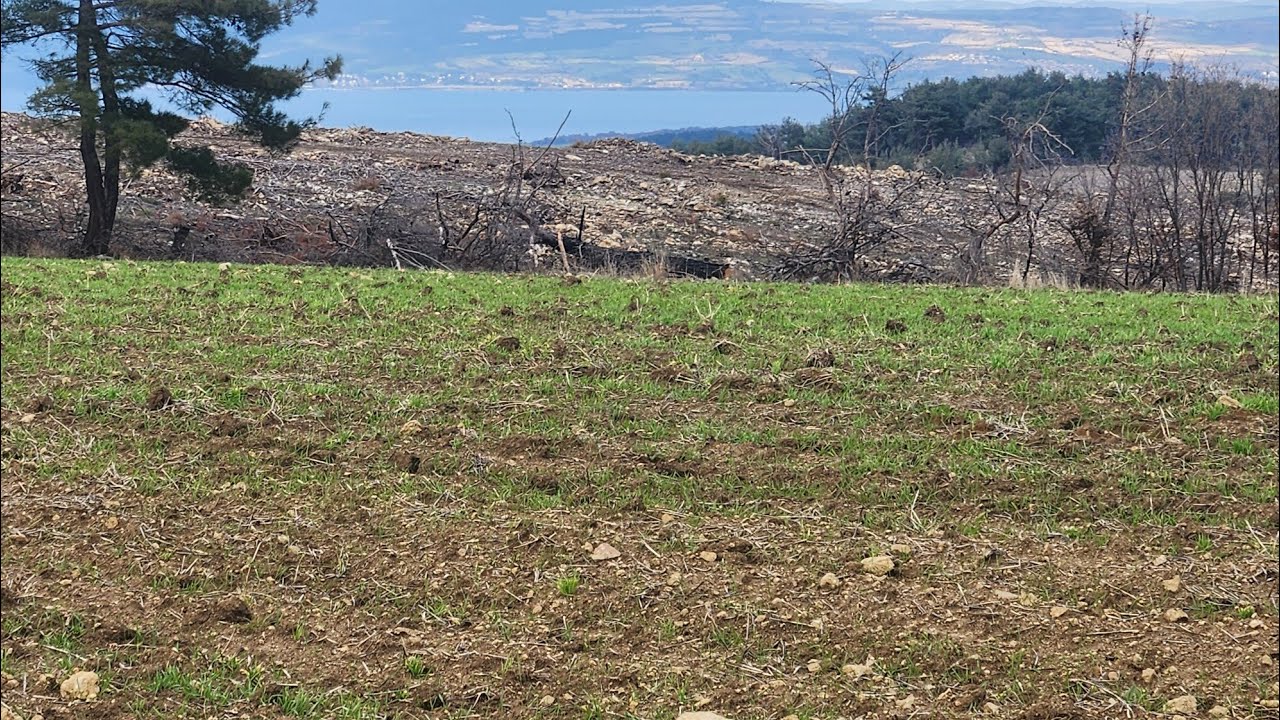 Çanakkale Merkez Yukarıokçular Boğaz Manzaralı 9 Dönüm Tarla. Fiyatı 4.900.000 TL