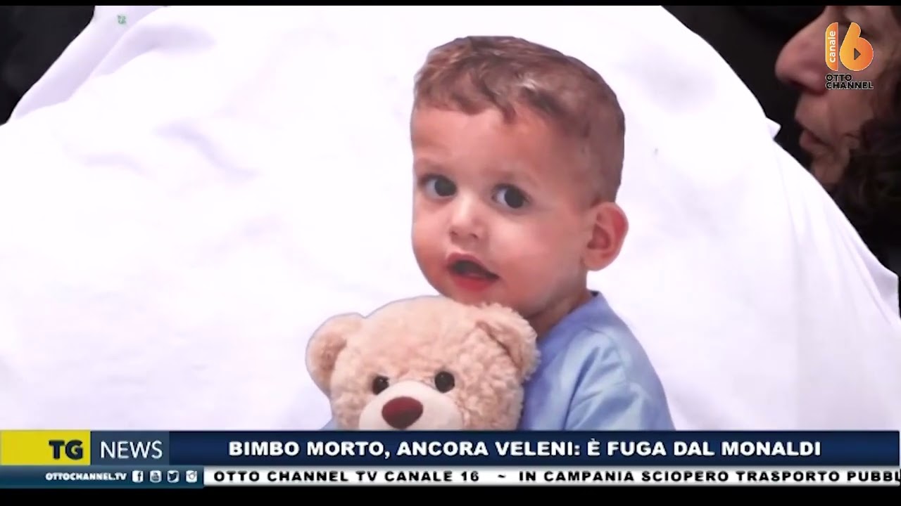 Tg news 6 marzo 2026 - ore 13:45