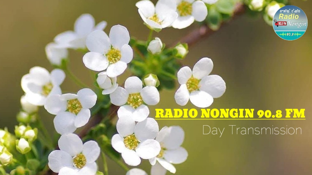 DAY  PROGRAMME  ::  THE  7th  FEBRUARY  2026 ,  RADIO NONGIN,