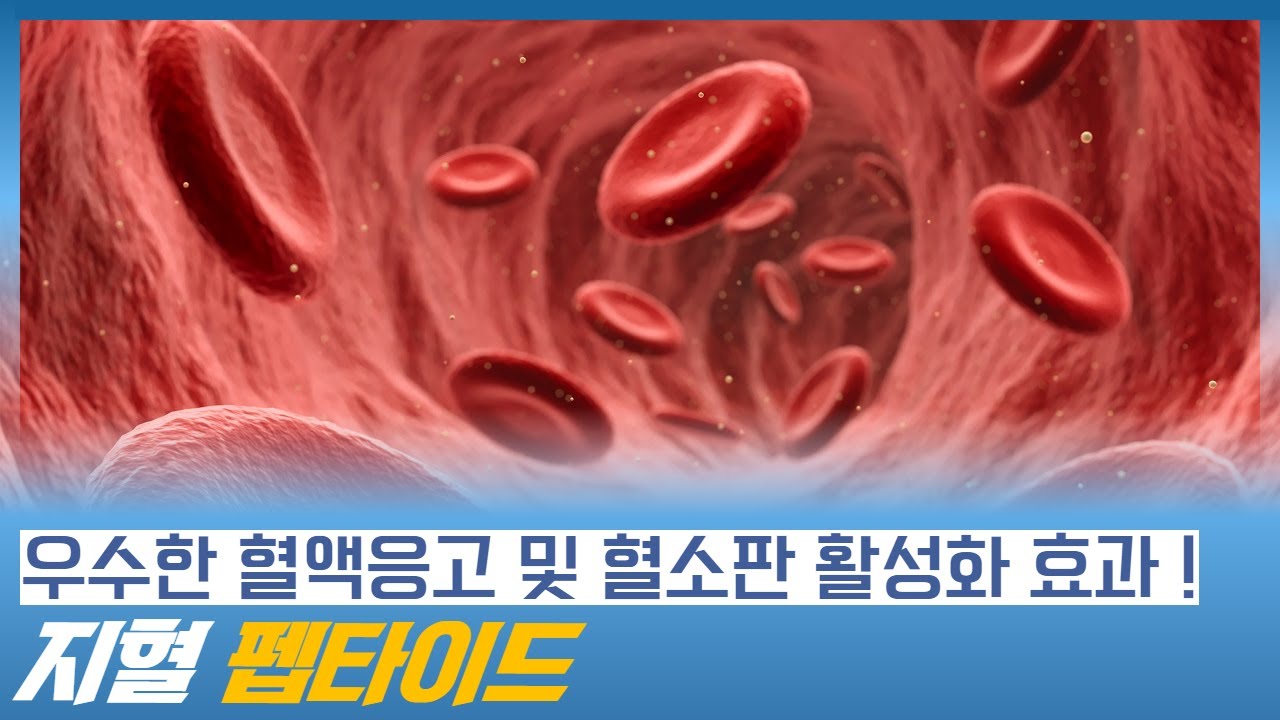 혈액응고 및 혈소판 활성화가 우수한 지혈 펩타이드 (지혈제, 지혈방법)