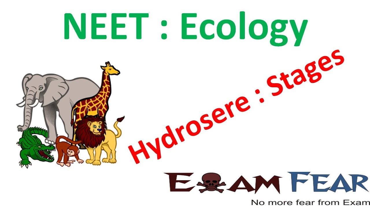 NEET Biology Ecology : Hydrosere : Stages