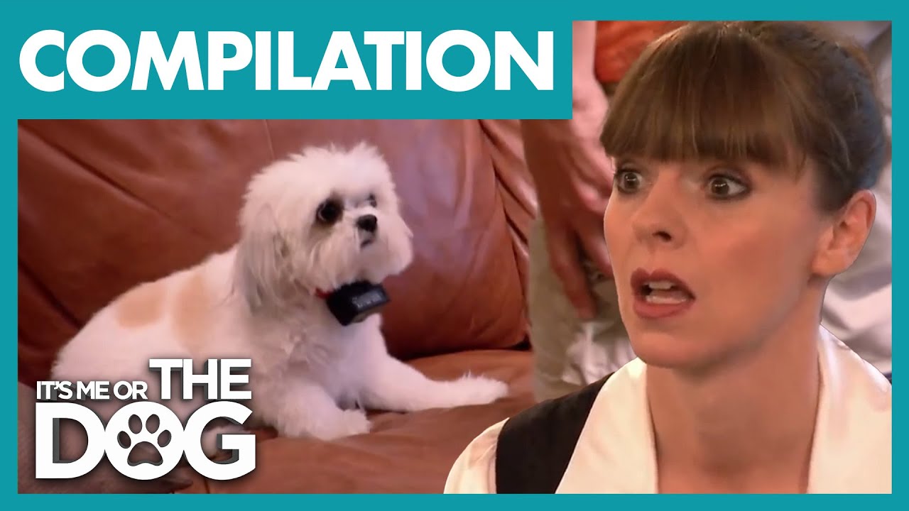 Victoria's Most SHOCKING Cases | COMPILATION | It's Me Or The Dog
