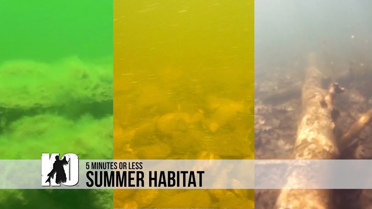 Tips for Muskie Fishing During Summertime!