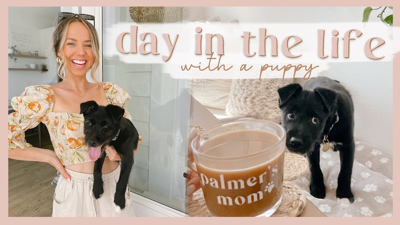 DAY IN THE LIFE WITH A PUPPY | activity ideas, fun dog snacks, & training! 🐾