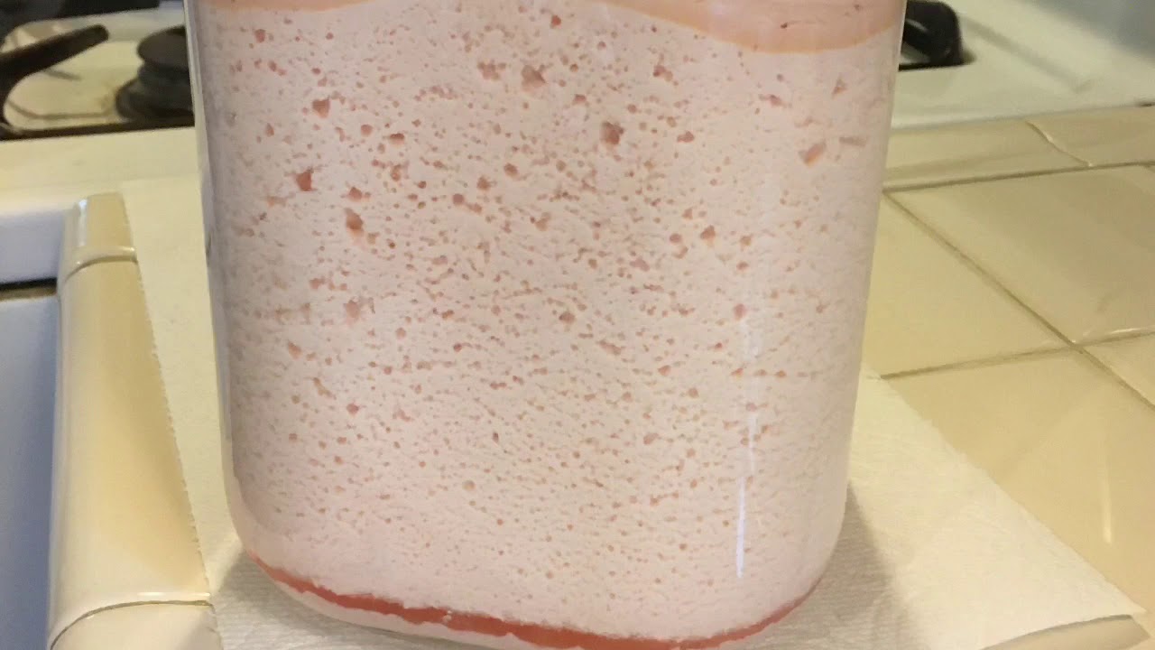 How to make Fermented Dosa (red lentils and rice)