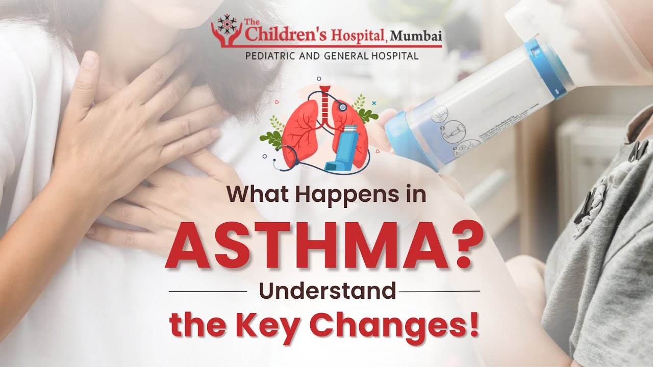 What happens in Asthma? Causes and Treatment of Asthma