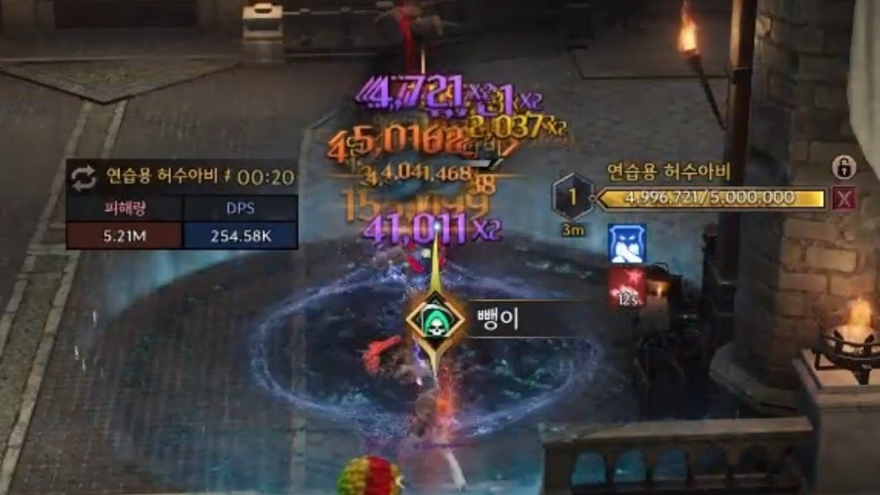 Invocator & Paladin Dummy 5M 20sec 쓰론앤리버티 Throne And Liberty