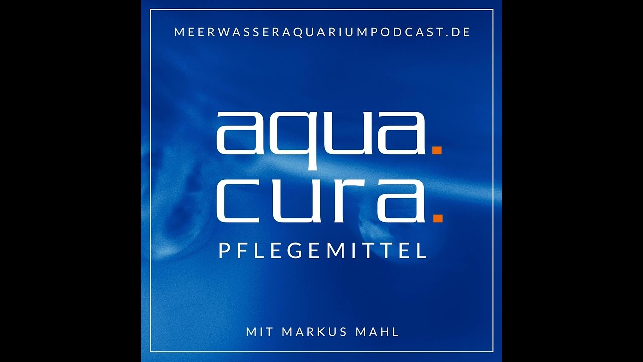 #0038 Markus Mahl beantwortet H&ouml;rerfragen Teil 2