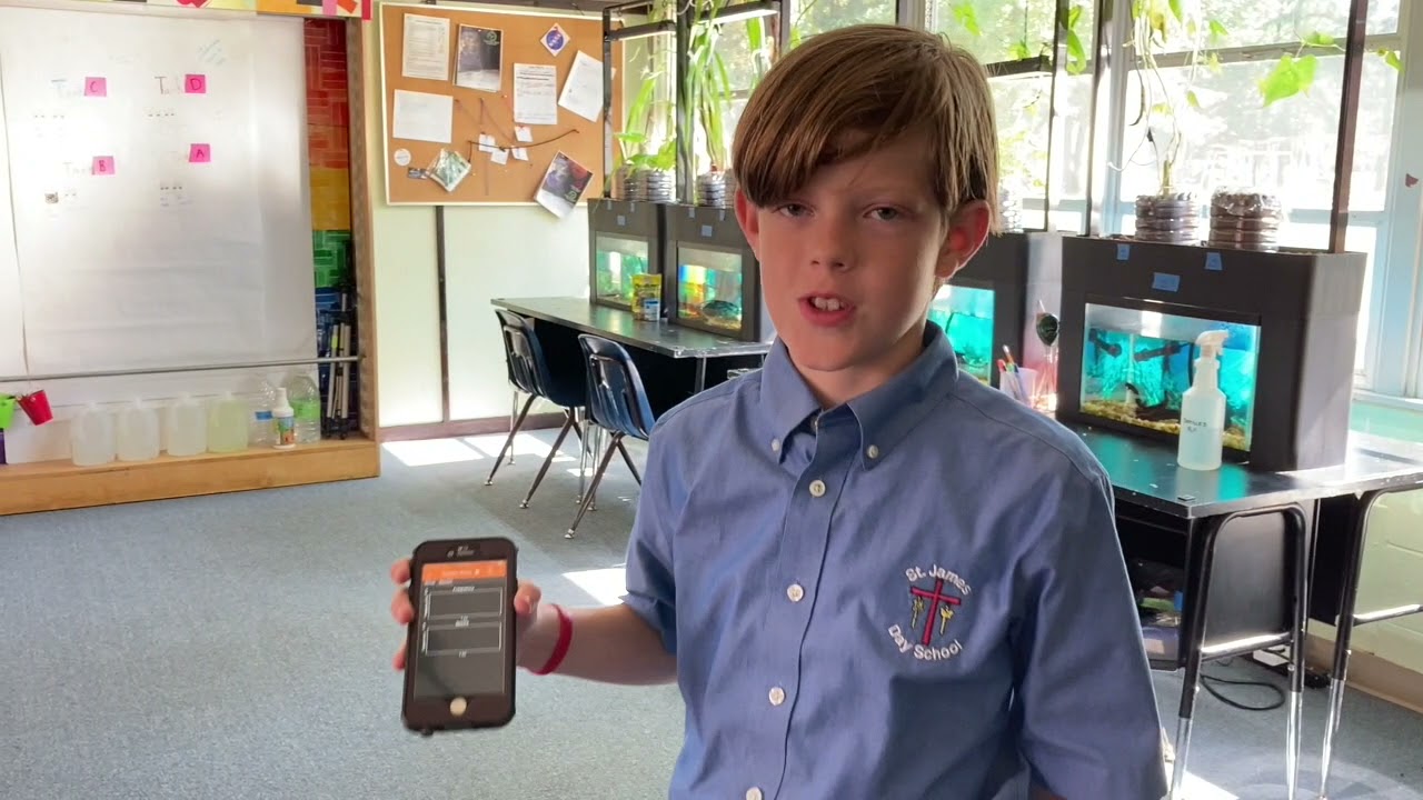 The Doppler Effect with Sound