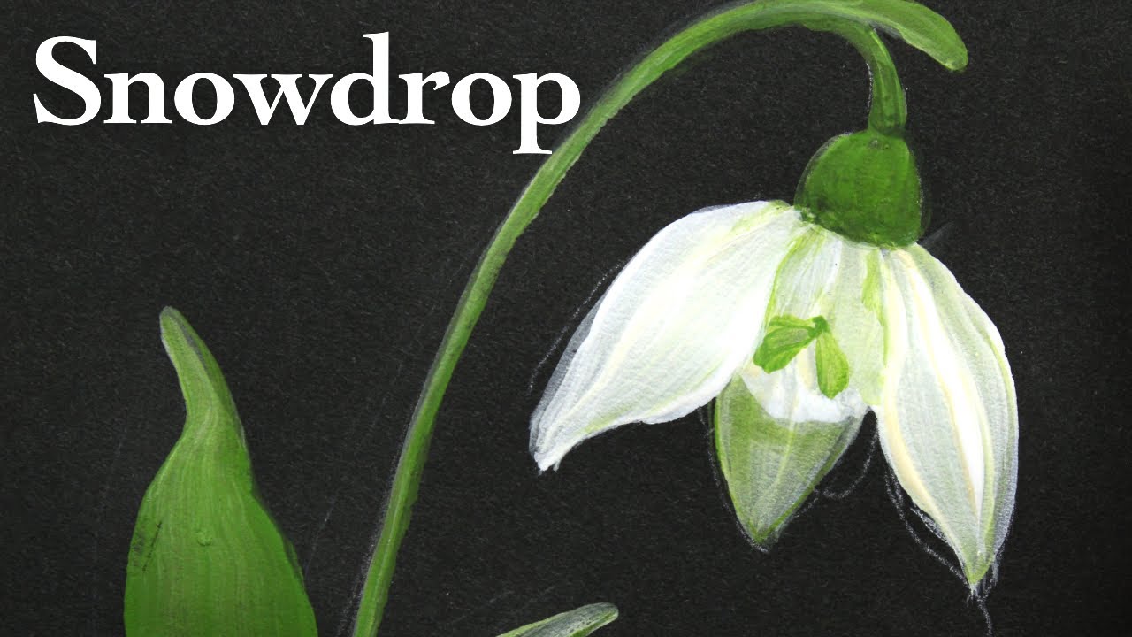 How to paint a snowdrop flower in acrylic ( in 3 Minutes )