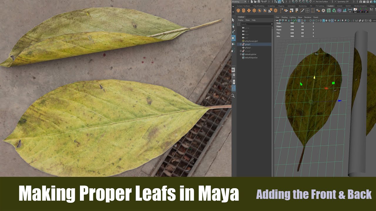 How to Create Proper Leaf in Maya  |  Front and Back