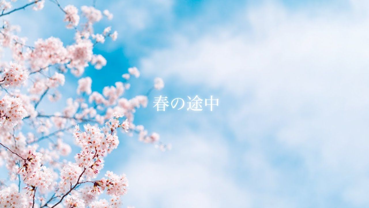 春の途中/うおた【オリジナル曲】