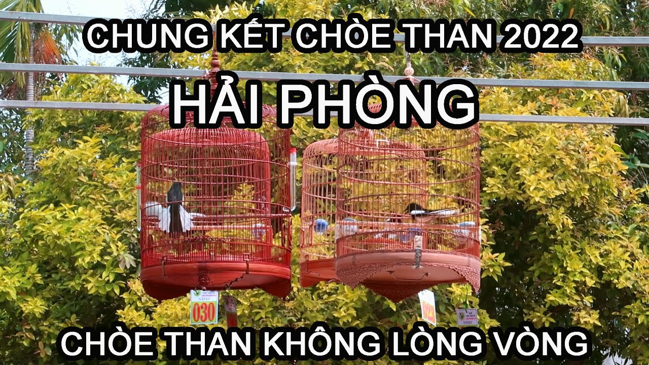 CUỘC THI CHÒE THAN HÓT MÚA ĐĂNG CAI TẠI HẢI PHÒNG 10/4/2022