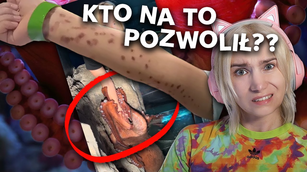 Czy ta ośmiornica mogła pożreć sześciolatka?