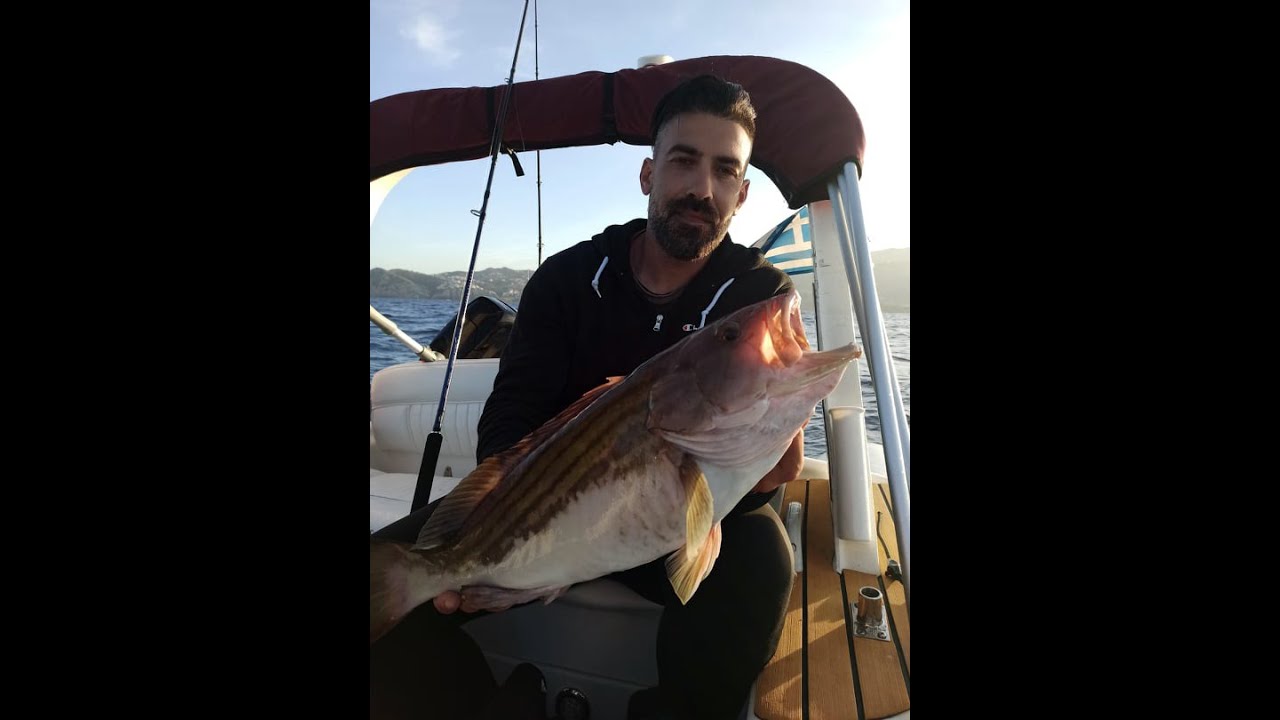 shore jigging grouper & big baracuda
