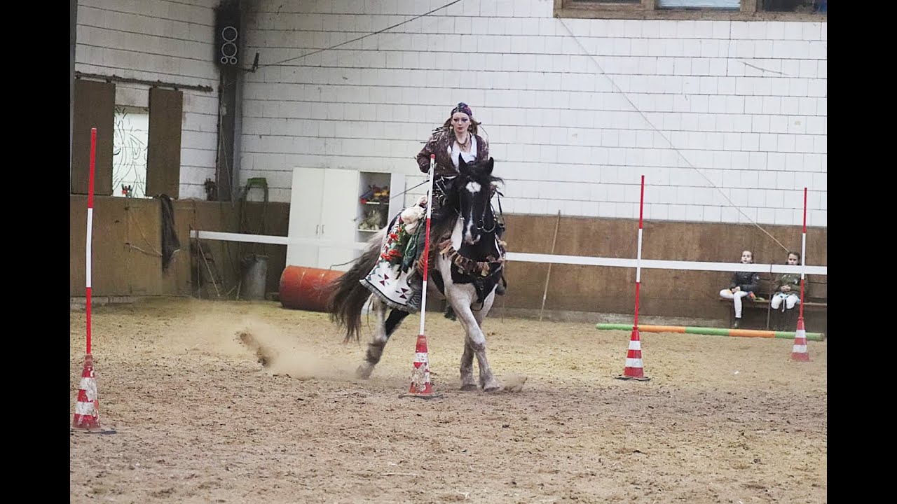Karnevalsrodeo 2020 in Barßel Reitstall Deger // Somnia Equi