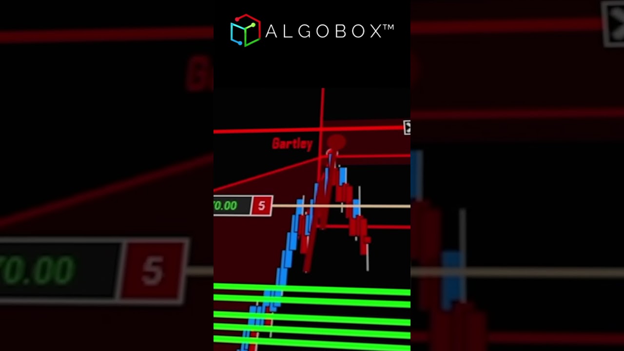 HMD Trade on Nasdaq Futures🔴AlgoBox | Real Time Order Flow Analysis | Ninjatrader 8 #algobox #algo