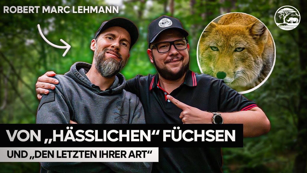 Exklusiver Wildlife Deeptalk mit Robert Marc Lehmann | 7 vs. Wild & mehr