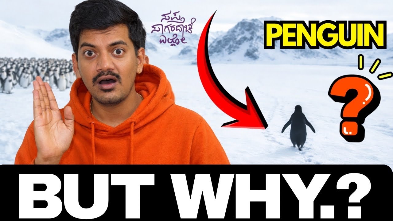 “ಪೆಂಗ್ವಿನ್ ತಪ್ಪು ದಾರಿಯಲ್ಲಿ ಹೋದಾಗ… ಅದು ನಮ್ಮ ಕಥೆಯೇ?”