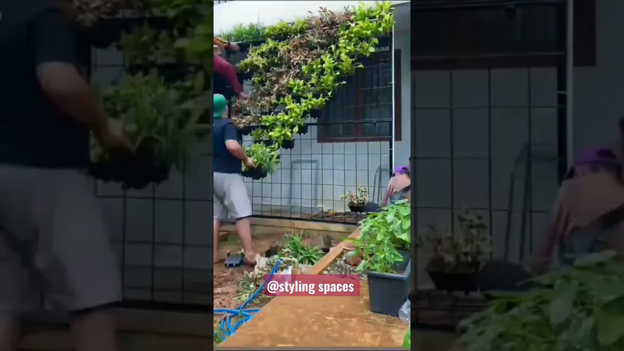 PRIVACY#PARTITION#IDEA#BY#VERTICAL#GARDEN#PLANTS#DECOR AND DESIGNING #FOLLOW#FOR#MORE#