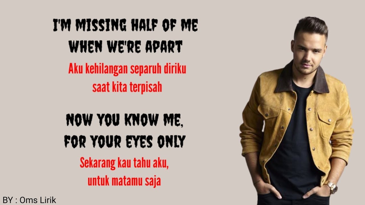 If I Could Fly - One Direction ( Lirik dan Terjemahan )