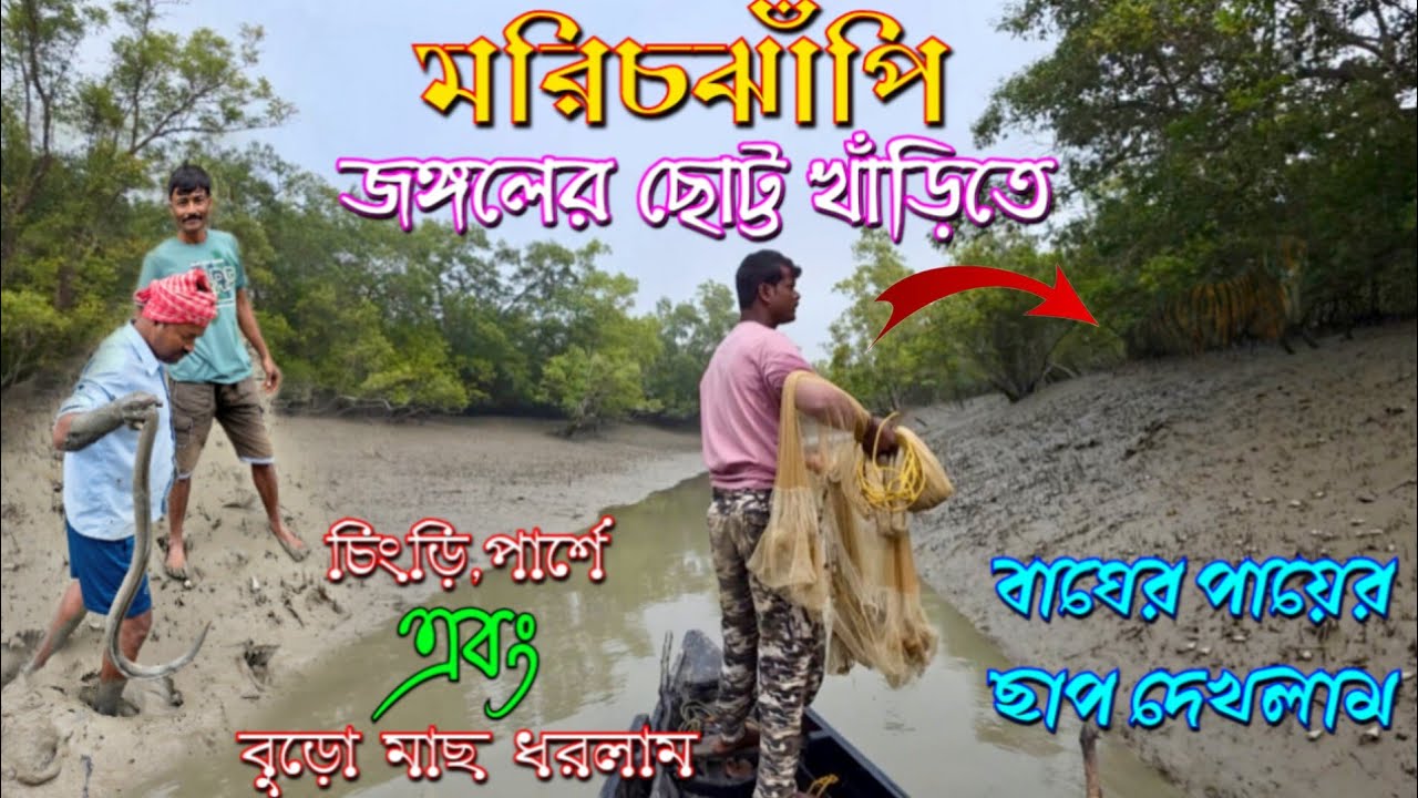 মরিচঝাঁপি জঙ্গলের নতুন নতুন খাঁড়িতে, খেবলা জাল বেয়ে মাছ ধরলাম এবং বাঘের পায়ের ছাপ দেখলাম।