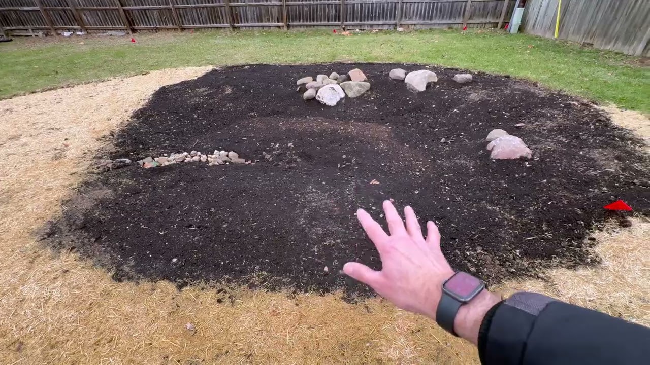 How We Built a Rain Garden for Our Urban Home | Eco Friendly Water Solution. #raingarden