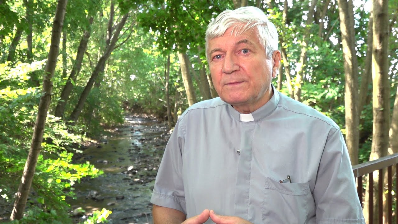 A HÉT SZENTJE - SZENT DOMONKOS