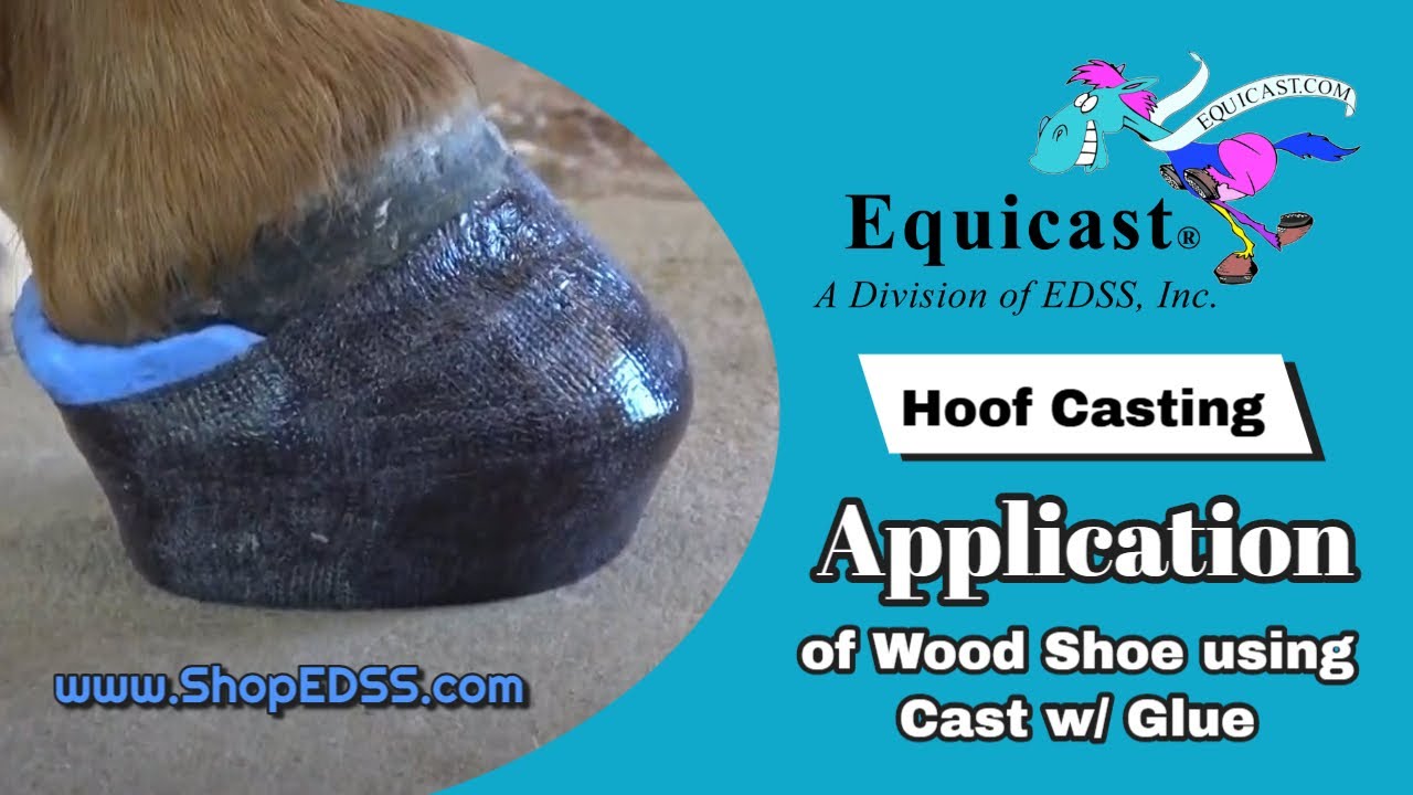 Equicast Application - Wood Shoe with Cast & Glue for Restoration of Foot Function