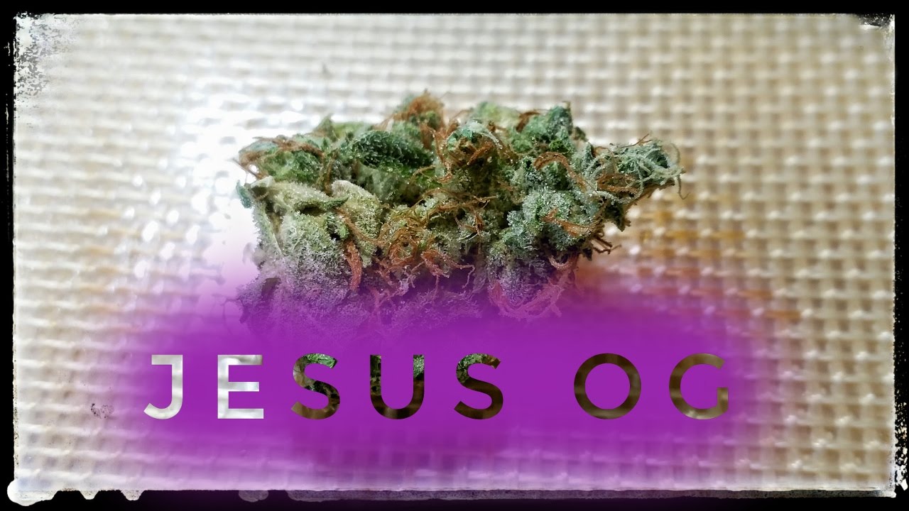 Strain Review - Jes - Jesus OG - MMJ Total Health Care