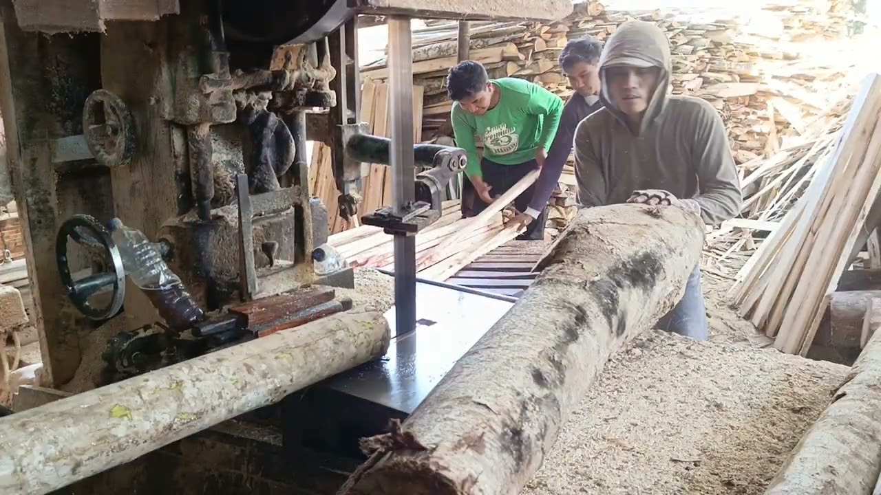 HASIL BERLIPAT BELAH  KAYU SENGON PAPAN 