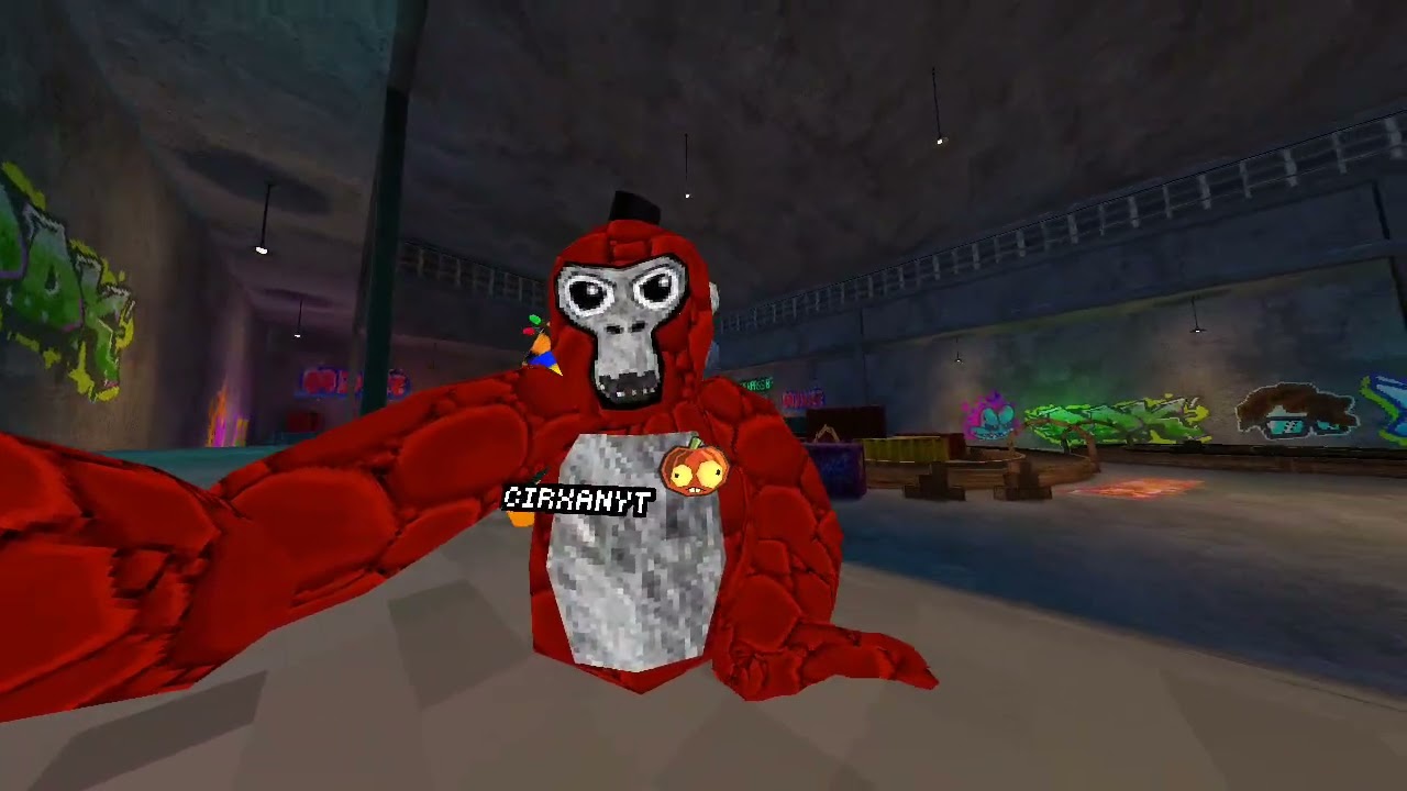 Skatepark in Gorillatag fun