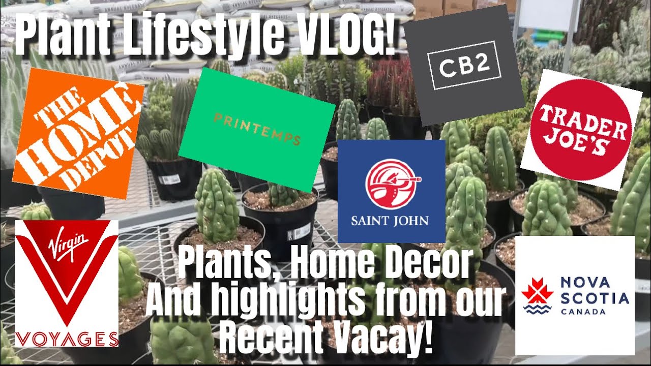 442: 🍁ВЛОГ о жизни с растениями: садовые центры HD и CB2 в Далласе, Техас | Путешествие из Нью-Йо...