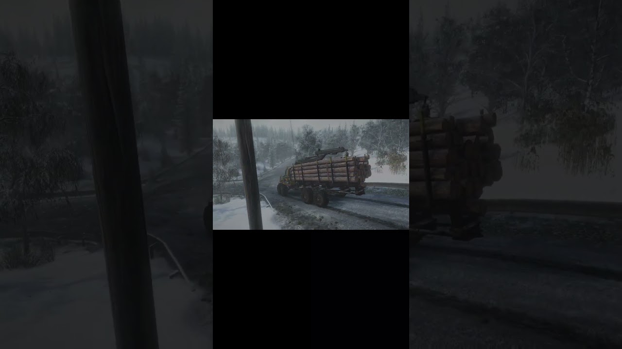 Morning logging in Alaska